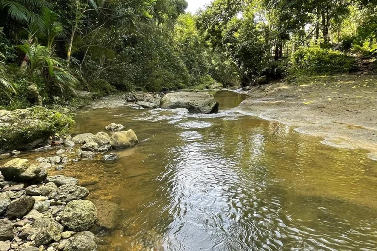 IMG 20250331 WA0027 1 768x512