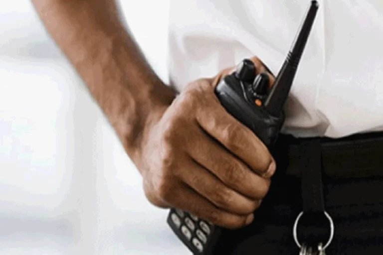 Guardia de Seguridad 768x512